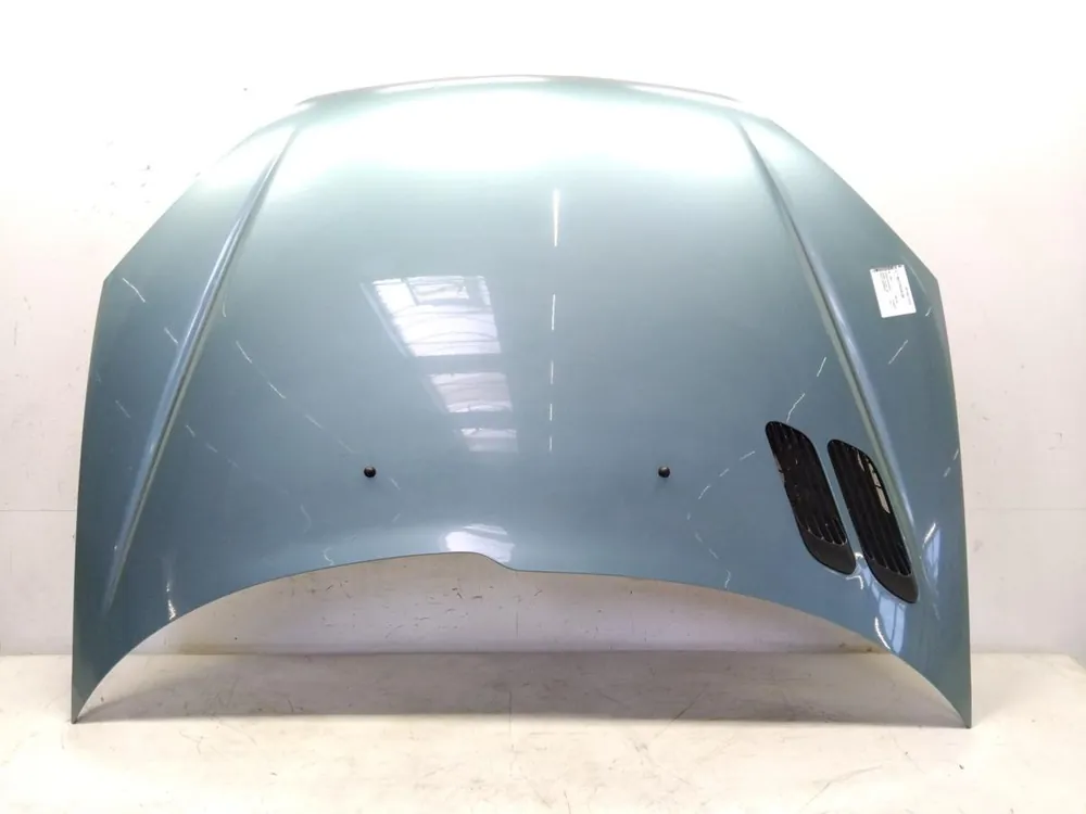 Motorhaube, Frontklappe gebraucht PEUGEOT 206 (2A/2C) Baujahr 1999 Schneller Versand