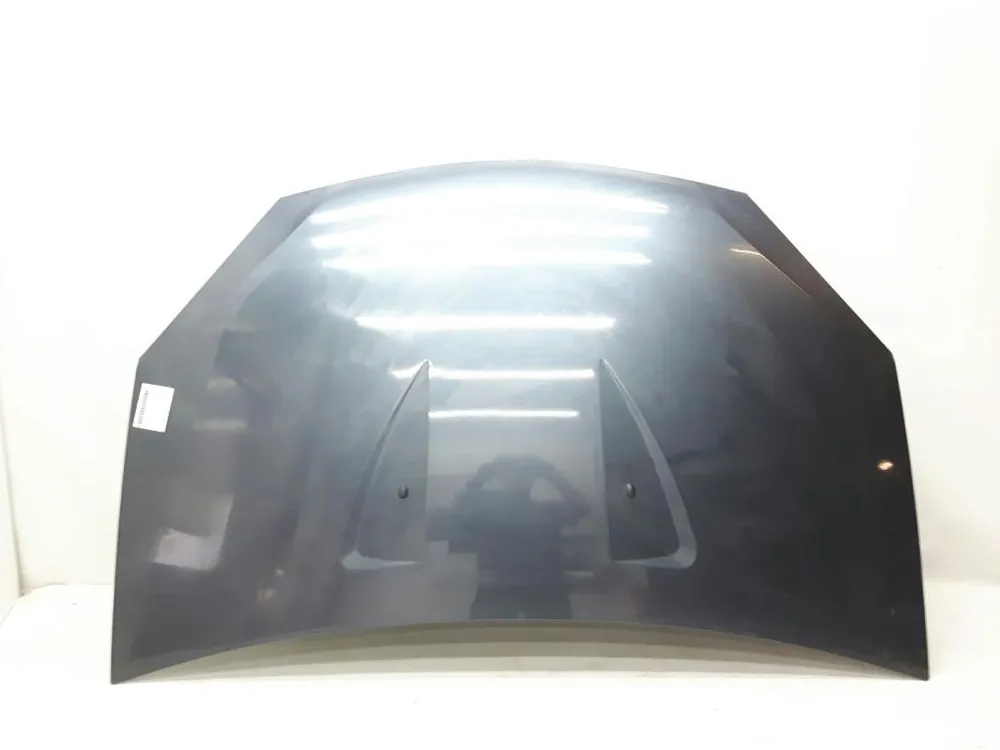 Zertifiziert Motorhaube, Frontklappe gebraucht DACIA SANDERO Baujahr 2009