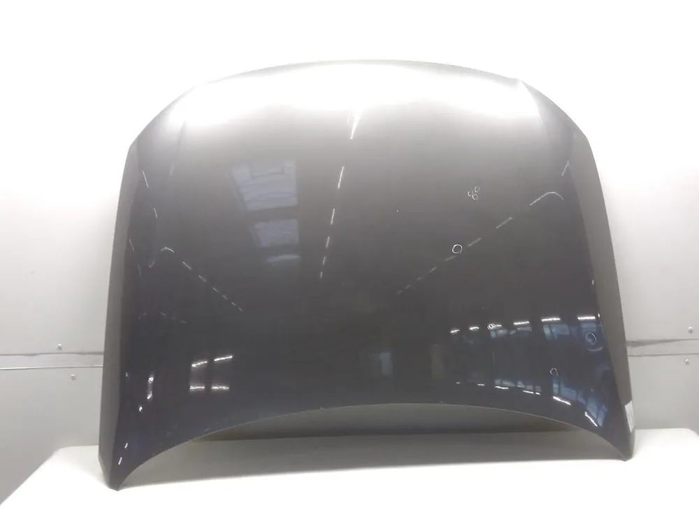Neu Haube, Klappe gebraucht VW PASSAT (3C, 05/07-) Baujahr 2009